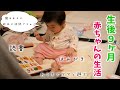 【穴のあくほど】絵本が大好きな赤ちゃん/歯みがきスタート/ちょっとだけハイハイ【生後9か月赤ちゃん】