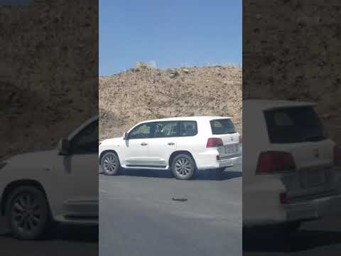 مراجعة لكتاب موسوعة المستشرقين د عبدالرحمن بدوي