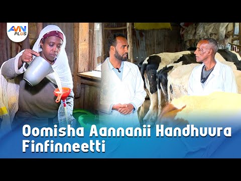 Carraaqqata Oomisha Aannanii Handhuura Finfinneetti
