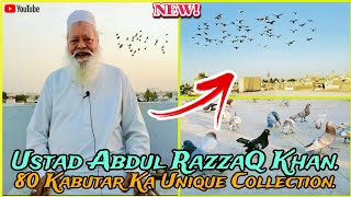 Ustad Abdul Razzaq khan | kachpare lalband ghagray kabutar | pigeon loft | kabootar bazi.