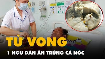 Ăn trứng cá nóc, 1 ngư dân tử vong, 2 người nhập viện
