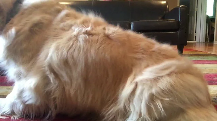 Relax with Beebe