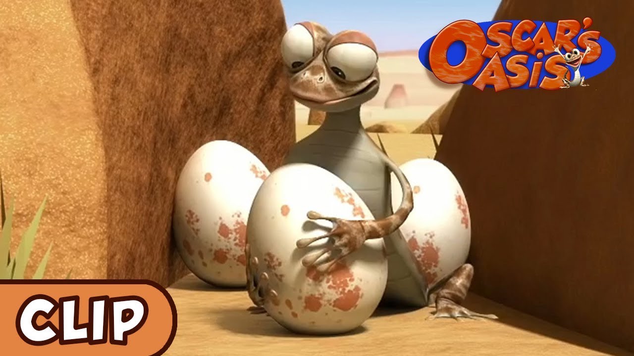 StarTimes KIDS - # Oscar's Oasis# From January 14 ,Monday to Friday,16:00  CAT 😍😍😍😍😍😍😍😍😍😍😍😍😍😍😍 The little lizard Oscar is looking for  water and food in the desert every day. His neighbors hyenas