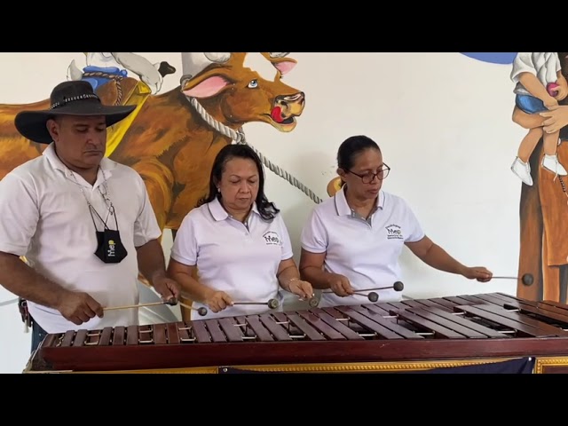 Watch Ensamble de Marimba Dirección Regional de Santa Cruz on YouTube.