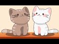 all the CATS sing BAD GUY - Duet Cats Cute Popcat Music