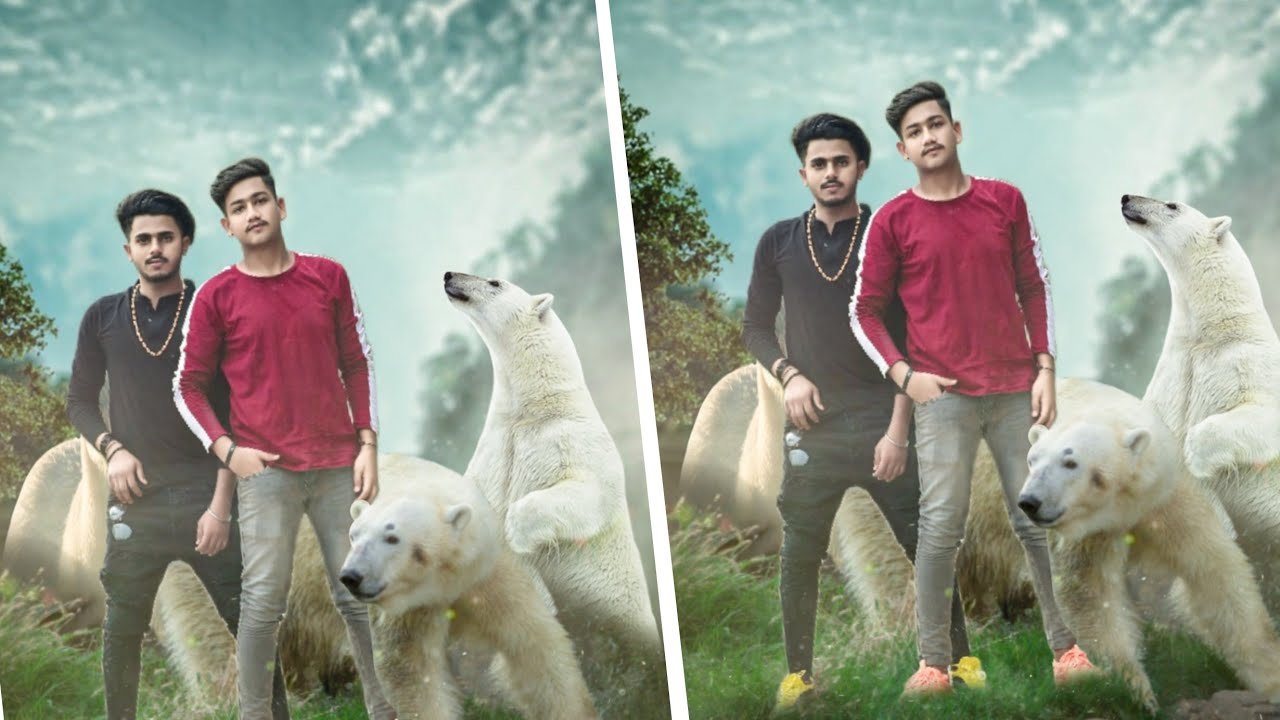 Polar Bear Concept Photo Editing Tutorial PicsArt ||PicsArt Polar Bear Concept || AMG EDITING