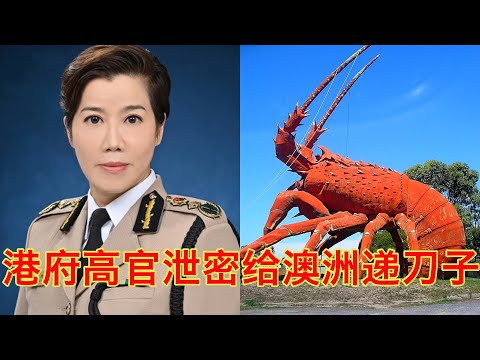 中共在世贸组织被全世界大国围攻,港府高官不救驾反而在背后神补刀:“澳洲龙虾威胁国家安全 ”(坐澳观天第479期 20211022) Episode cover