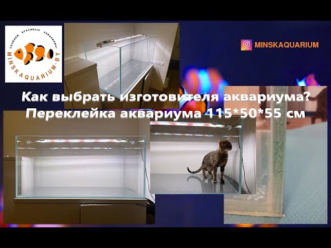 Как выбрать изготовителя аквариума. Переклеили аквариум 115*50*55 см.