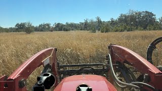 Field Mowing Tall Grass with RhinoAg 4125 12' Batwing