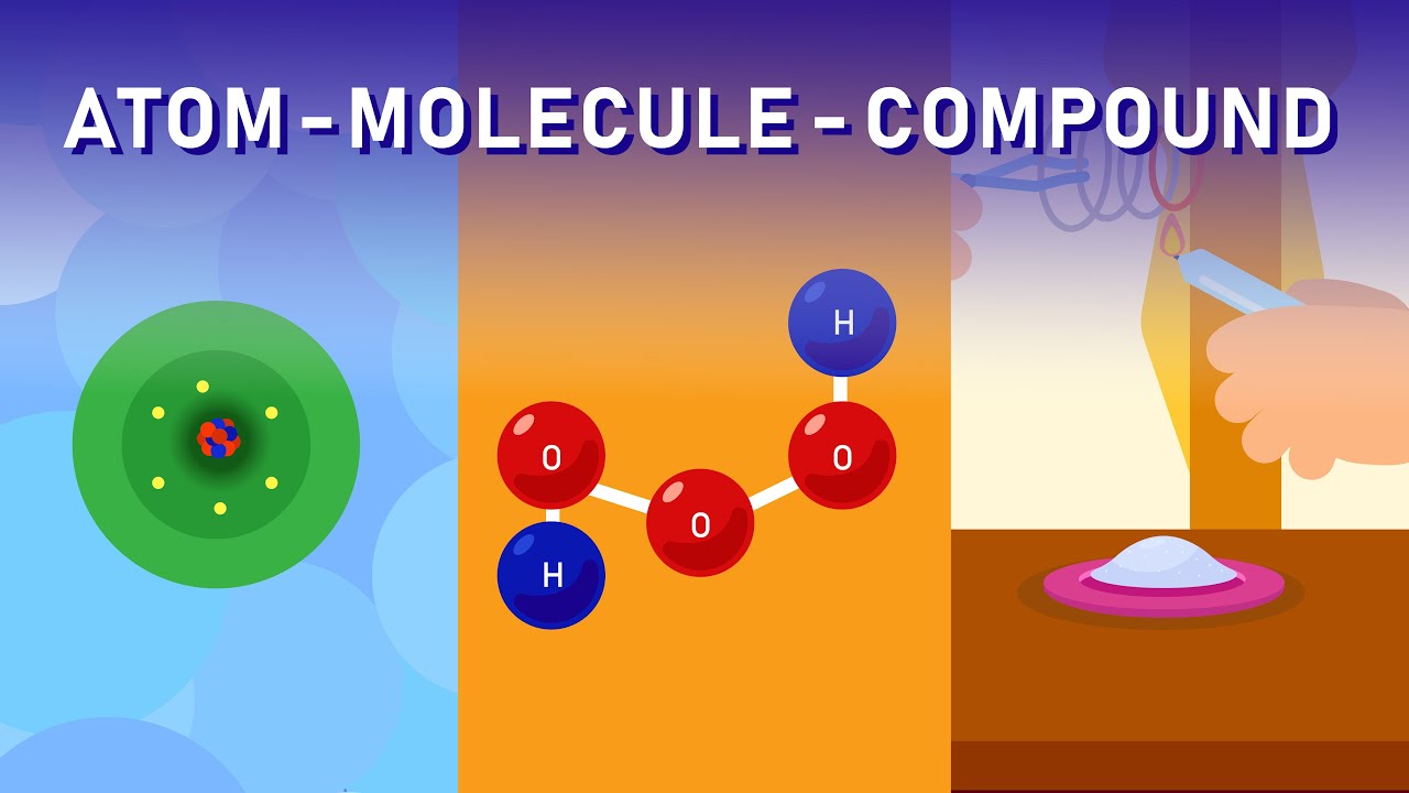 What Distinguishes Compounds from Molecules? 