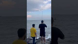 Arabic Mandi Experience &amp;  Fishing at Jumeira Beach #dubaicity #arabicmandi #dubaishorts