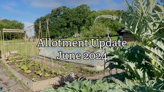 Allotment Update June 2024, Allotment Diary, Allotment Gardening