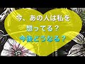 🌹今、あの人は私を想ってる?今後どうなる?