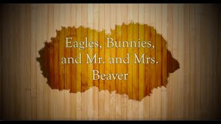 Eagles, Bunnies, and Mr. and Mrs. Beaver