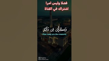 القرآن الكريم #اكسبلور #رمضانمبارك #دويتو #تيك_توك #لايك #راحة_نفسية #في #حالات_واتس #duet #ترند