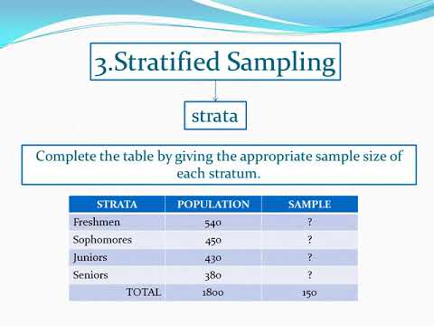 statistical mini research