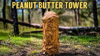 Leaving a TOWER of PEANUT BUTTER in the Woods - Here's what happened! Trail Camera