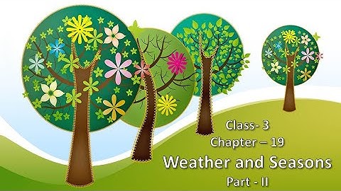 Weather and Seasons || Social Science || Class-3 || Chapter-19 || Part 2