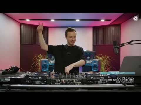 Vdj felix 29.08.2025 Doppenberg (where roses bloom) extended mix Andrew Rayel e462