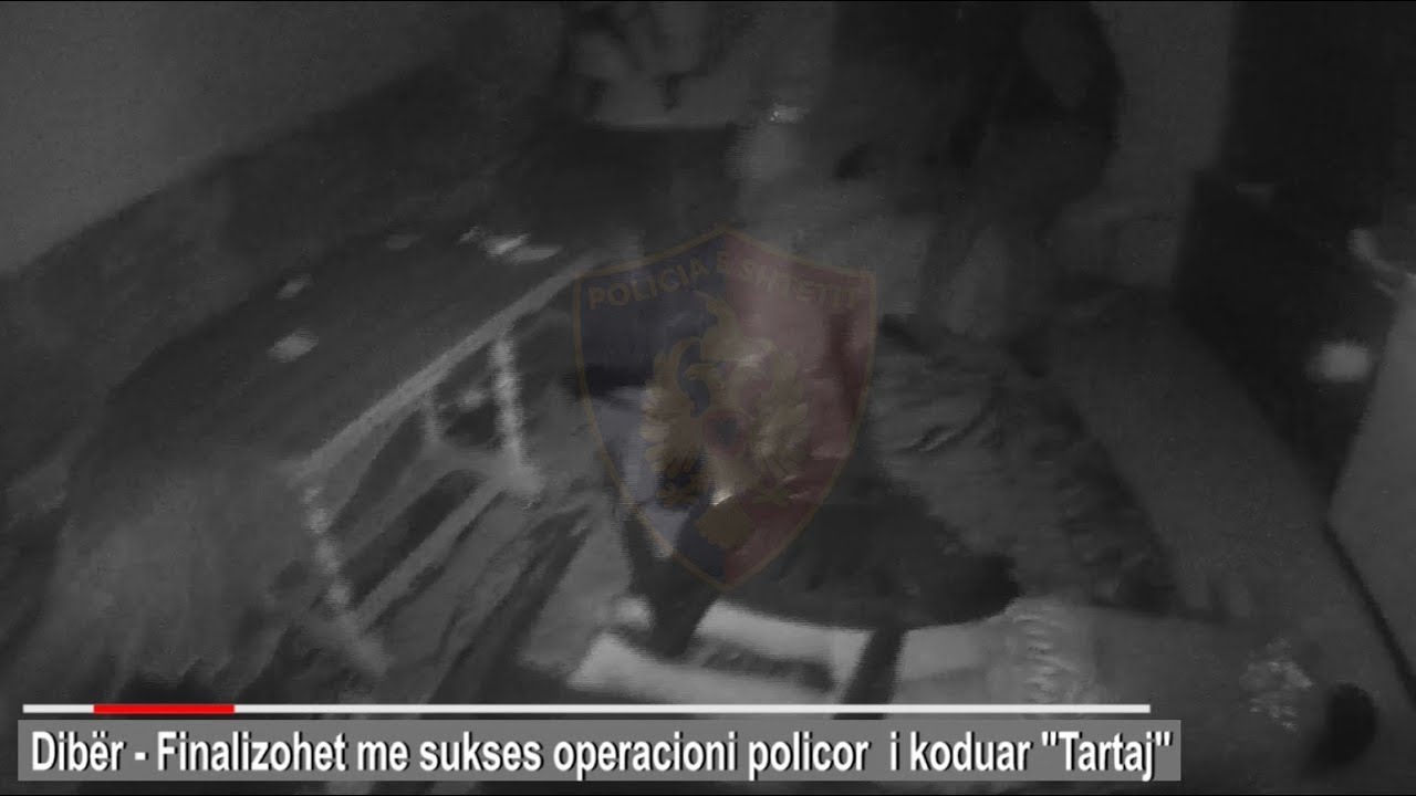shqiptare meaning Po festonin daljen e shokut nga burgu, arrestohen dy vëllezërit e shumëkërkuar në Dibër