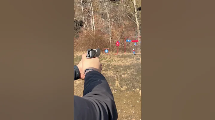 SIG P226 X-5 #shortsyoutube #shortsfeed #shortsvideo #shorts #callofduty #warzone #cod #sports #MW