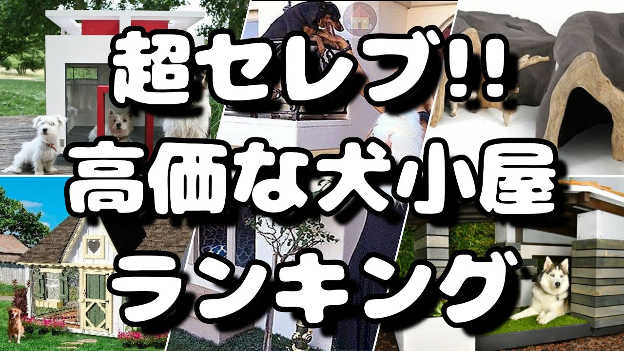 超セレブ 高価な犬小屋ランキング Youtube