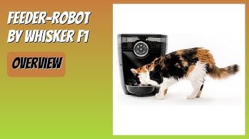 REVIEW (2025): Feeder-Robot by Whisker F1. Features