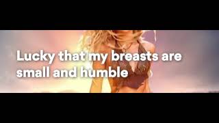 Shakira - Whenever,wherever Lyrics