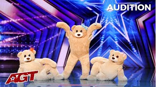 The Most FLUFFY Act Ever! When Three Bears Walk Onto America's Got Talent Stage!