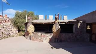 LLAMA GIGANTE - HUMAHUACA