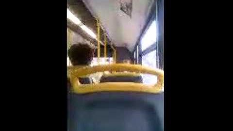 Damory 3321 HW54 BUF