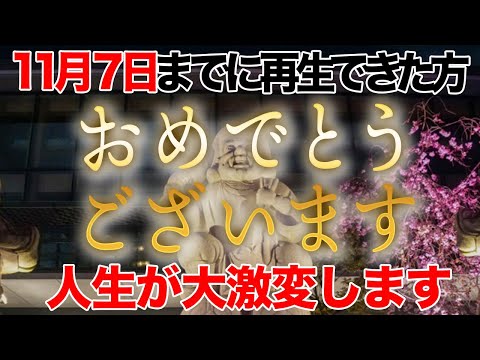 天赦日の金運は前日までに決まる！金運爆上げするために6日までにコレだけはやっておいて！【11月7日 甲子の日 鳳凰日 金運】