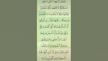 آيات من القرآن الكريم 💞 سورة النمل 💞 الآية 19