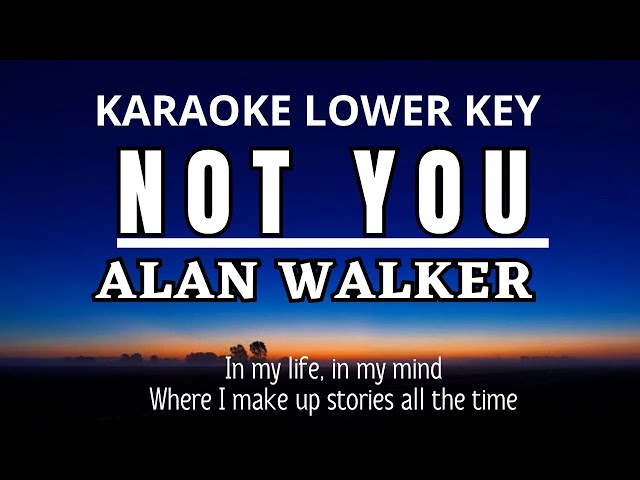 Not You - Alan Walker Emma Steinbakken  (Karaoke Lower Key Nada Rendah -3) class=
