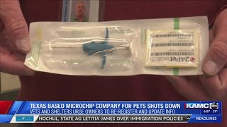 Texas-based pet microchip company shuts down, local experts recommend checking chips