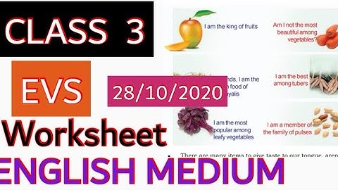 CLASS 3 EVS WORKSHEET OCTOBER 28/ENGLISH MEDIUM