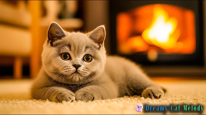 Anti-Anxiety Music For Cat: Relaxing Music to Keep Your Kitty Calm, Happy And Sleep Better 🌼