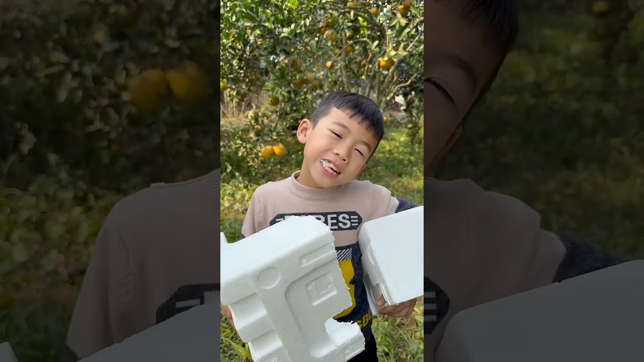 Kỹ năng sinh tồn: bà mẹ đơn thân thể hiện ý tưởng THÔNG MINH và HỮU ÍCH trong rừng#outdoor