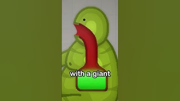 This Melon Playground Mod Shows What’s Inside a Giant Melon NPC
