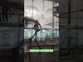 Indian museum kolkata