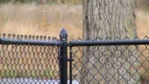 Systema PTW Max M4 - Test Fire #2