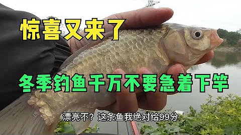 冬季釣魚不要急著下竿，打完窩後多做一件事，鯽魚鯉魚釣過癮 - 天天要聞