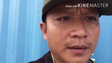 Đi câu cá dưới cầu tàu cảng cái cui