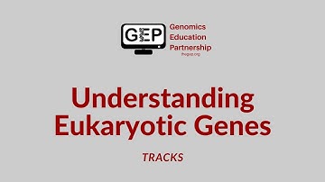 UEG | Tracks