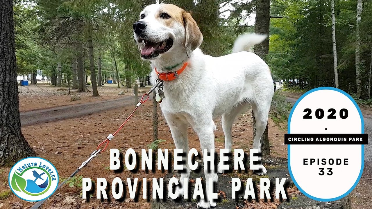 Chloe The Foxhound Discovers Bonnechere - Circling Algonquin Park Series -  Ep 33