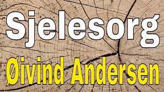40/59 Sjelesorg (Øivind Andersen) | Bibelsk forkynnelse