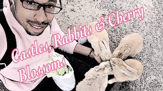 Castles, Rabbit Island and Cherry Blossoms (Hiroshima,Miyajima,Okunoshima )