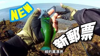 興趣使然釣魚人VS恆春墾丁祕點發現~台湾釣りTAIWAN