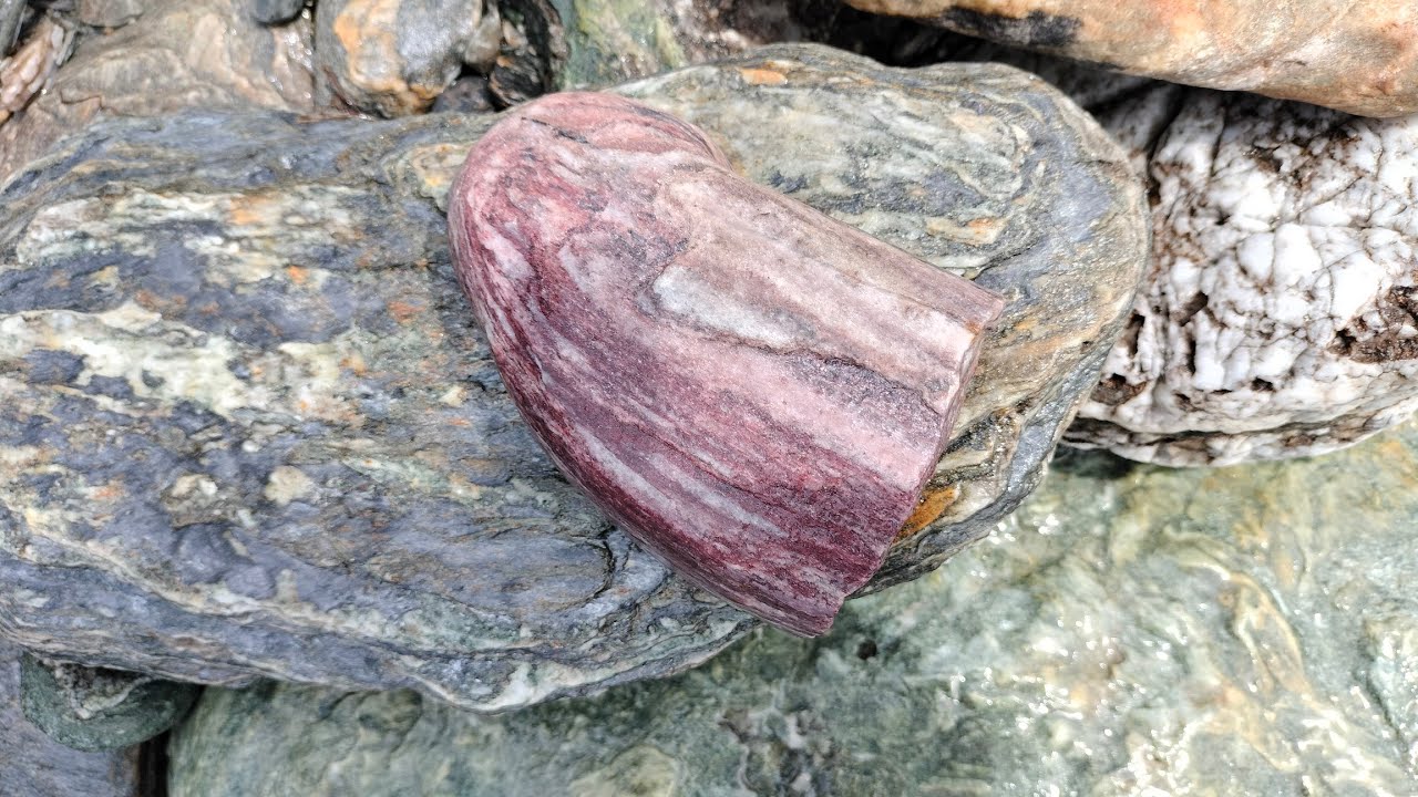 Rockhounding in New Zealand for Aroha stone, Shotover river, Queenstown #thestoneoflove