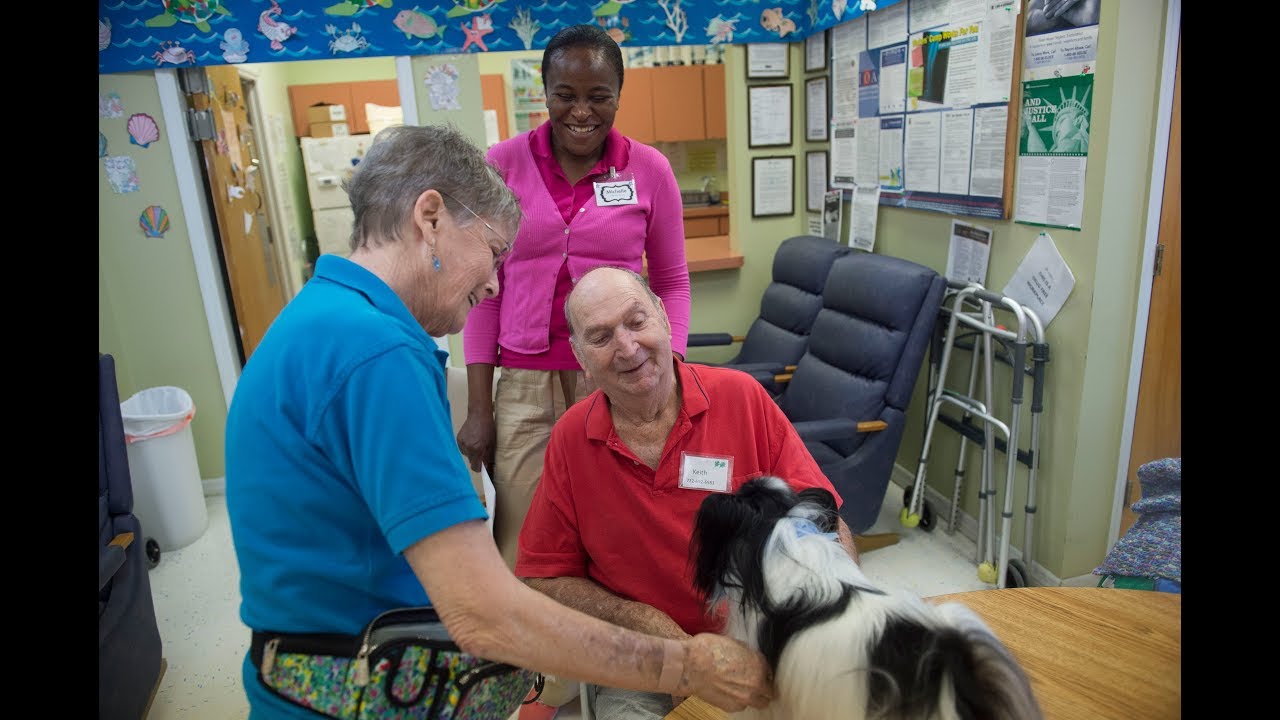 Video Pet therapy dogs bring joy to Alzheimer’s patients YouTube